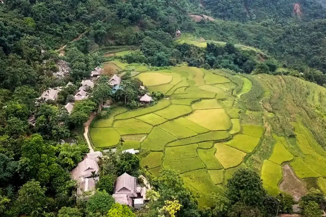 The Terraced Fields of Don Village 2