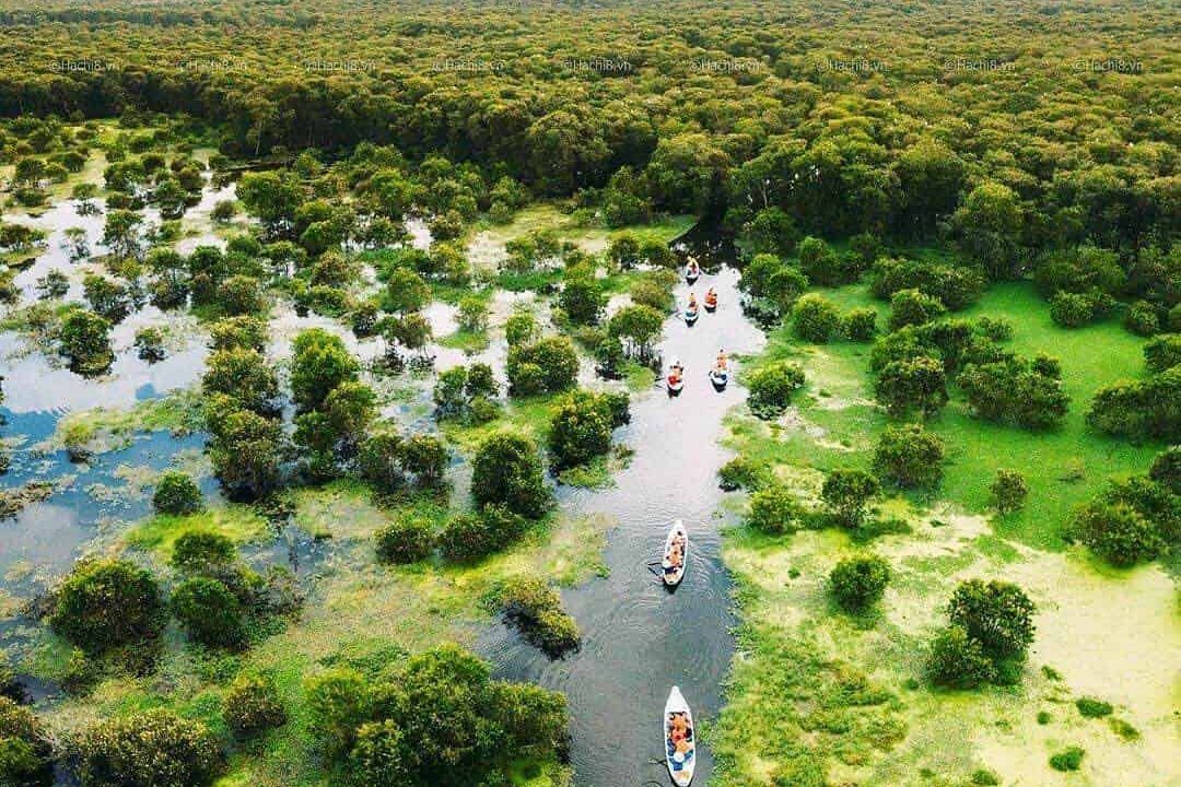 Tra Su Cajuput Forest