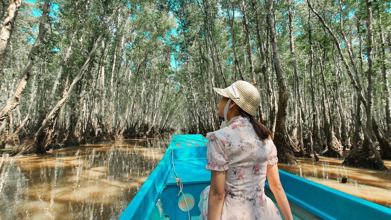 Tra Su Cajuput Forest 2