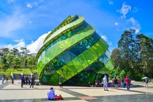 VNIN Da Lat 3