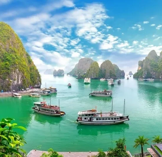 VNIN Halong Bay 7 1
