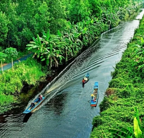 VNIN Mekong Delta 17 1