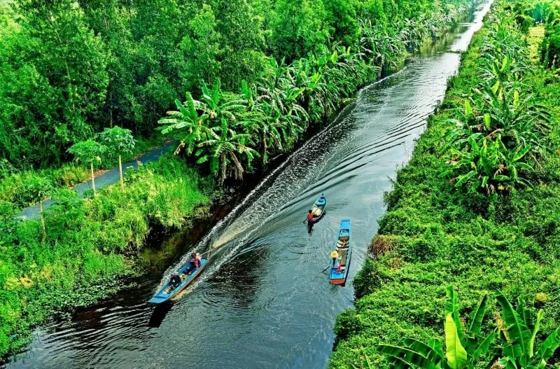 VNIN Mekong Delta 17 2 1