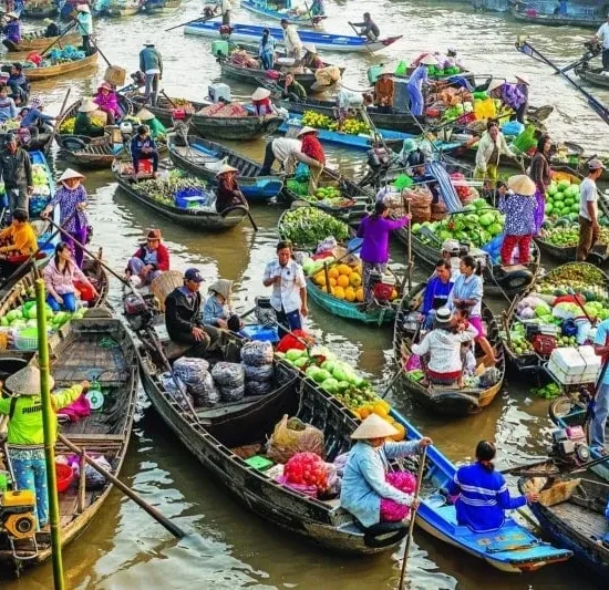 VNIN Mekong Delta 3 2 2