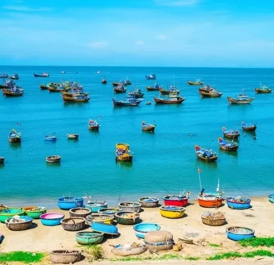 VNIN Phan Thiet 7