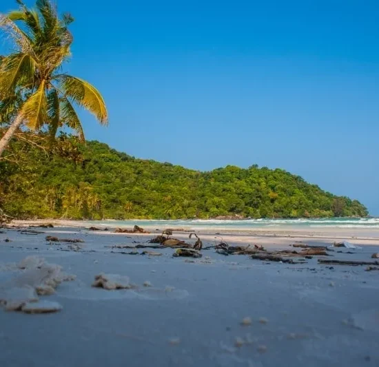 VNIN Phu Quoc Island 2