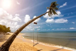 VNIN Phu Quoc Island 8