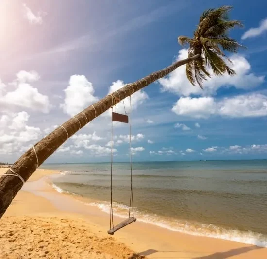 VNIN Phu Quoc Island 8