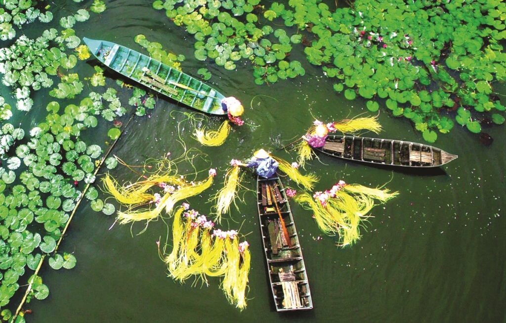 canh dep o Mekong Delta