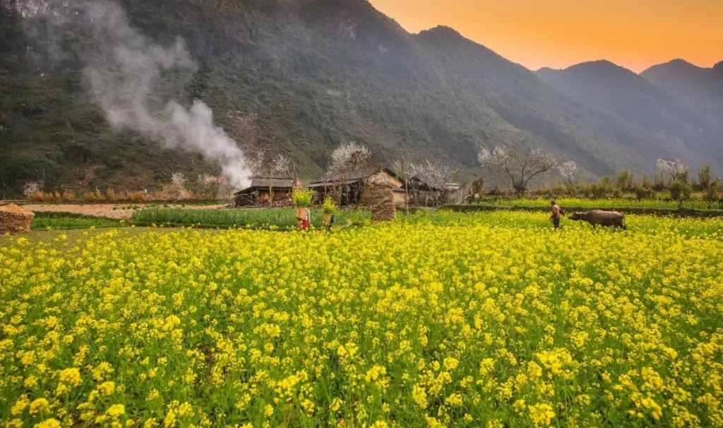 canh dep o ha giang 1