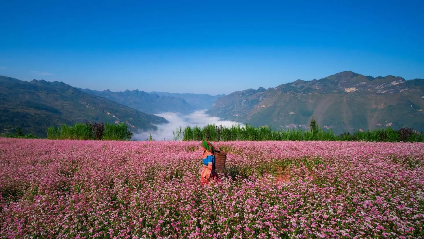 canh dep o ha giang 3
