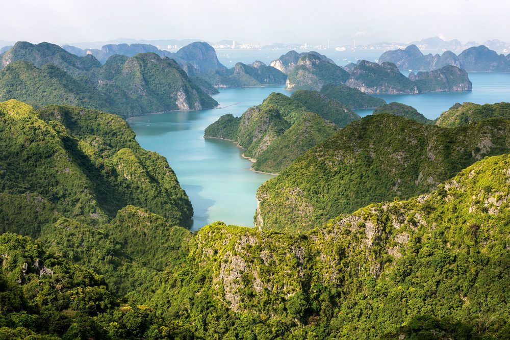 cat ba national park 1