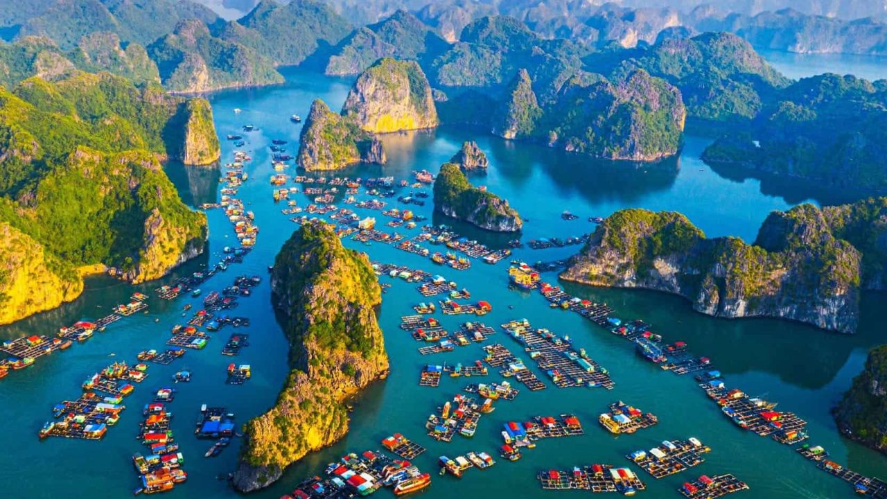 cat ba tours