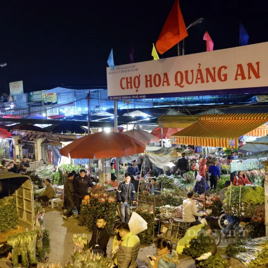 cho hoa quang an 16434223281111373884219 16434242049021448855465