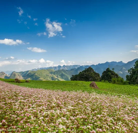 dia diem du lich ha giang