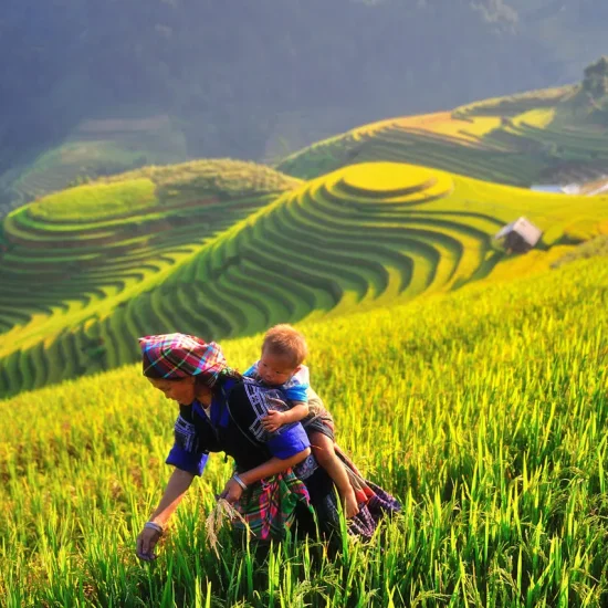du lich mu cang chai mua nao dep 2
