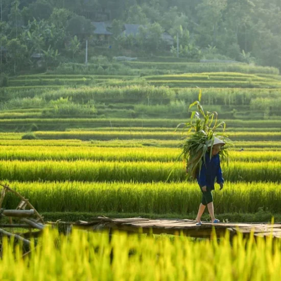 eo ken village