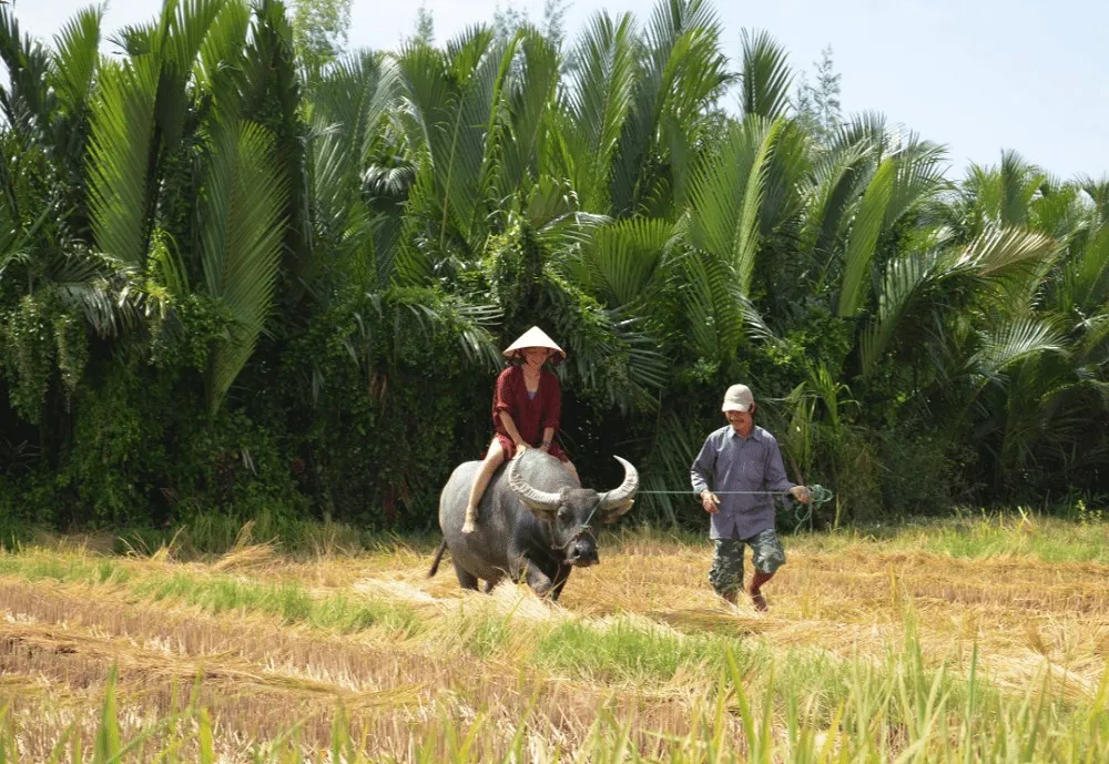 hoi an jeep tour to hoi an countryside villages phong nha locals 7 1