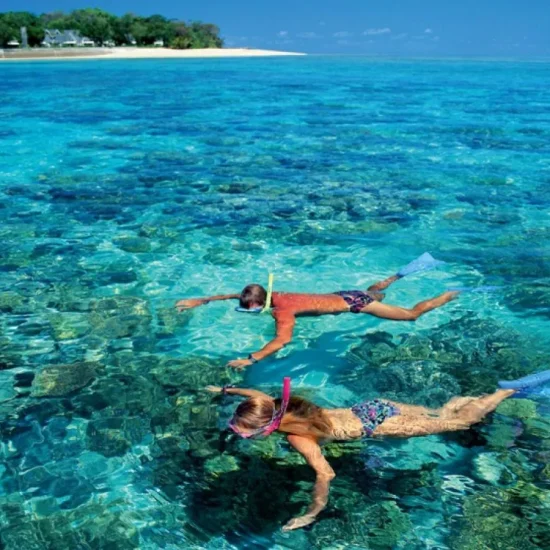 lan bien ngam san ho o phu quoc tai sao khong 572af73d52aa8
