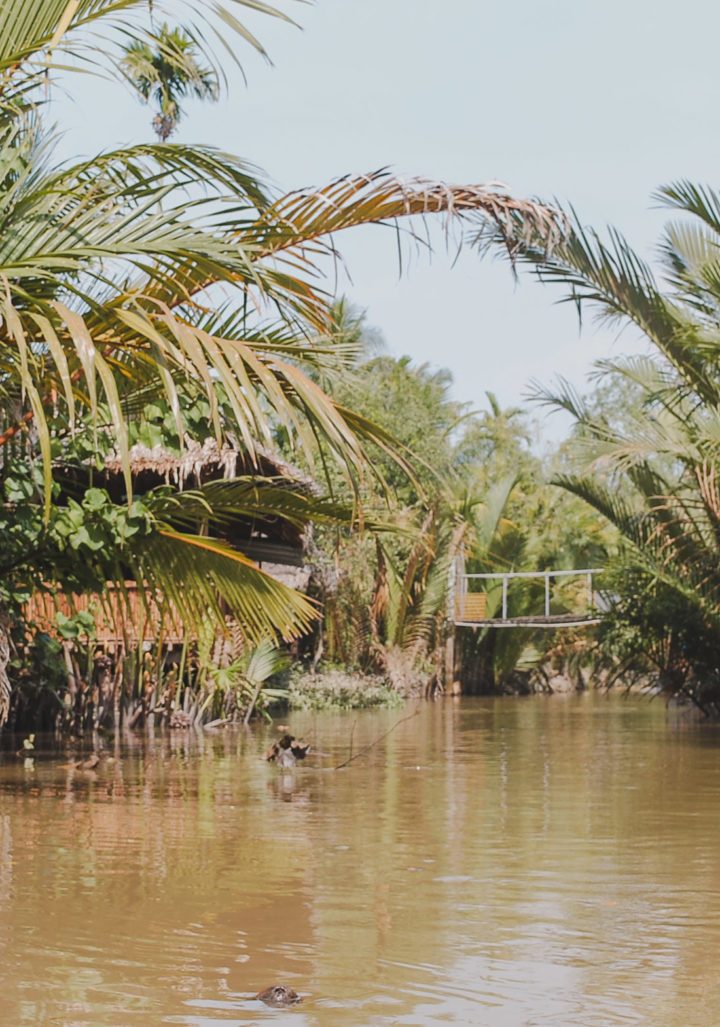 mekong delta 7 1440x1027 1