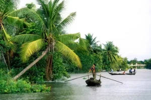 mekong delta day trip to my tho including ben tre island hopping in ho chi minh city 249518 9