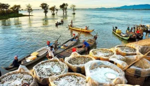 mekong delta 3