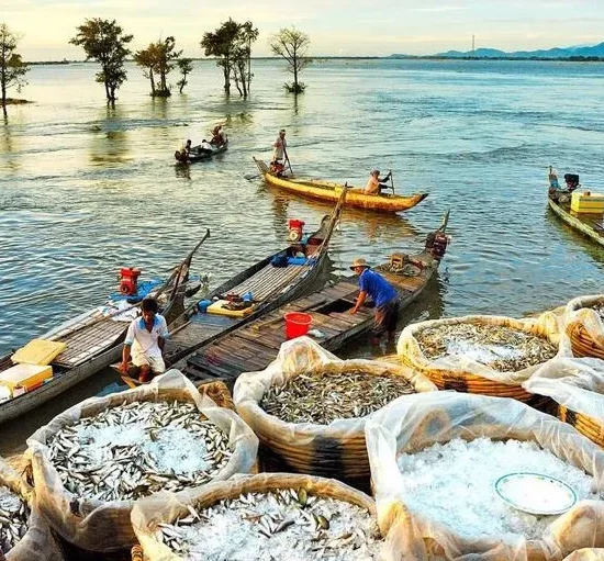 mekong delta 5