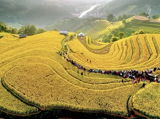 mu cang chai a