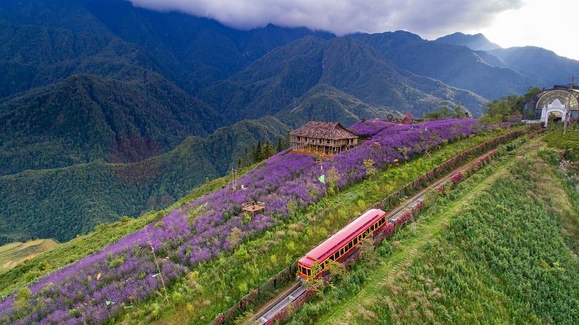 muong hoa valley 2