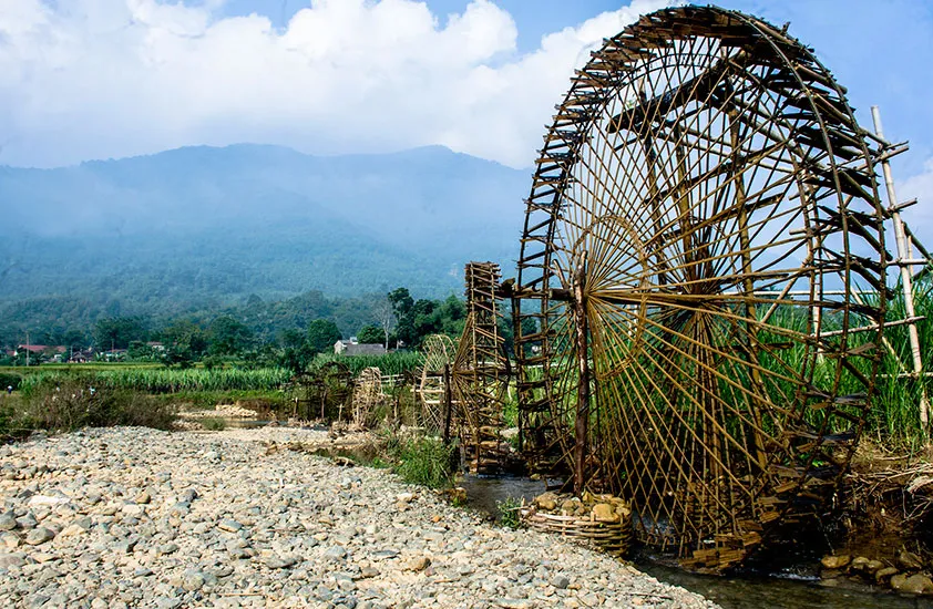 puluong 4