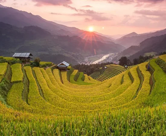 review doi mong ngua mu cang chai vao mua lua chin vang 1646760795
