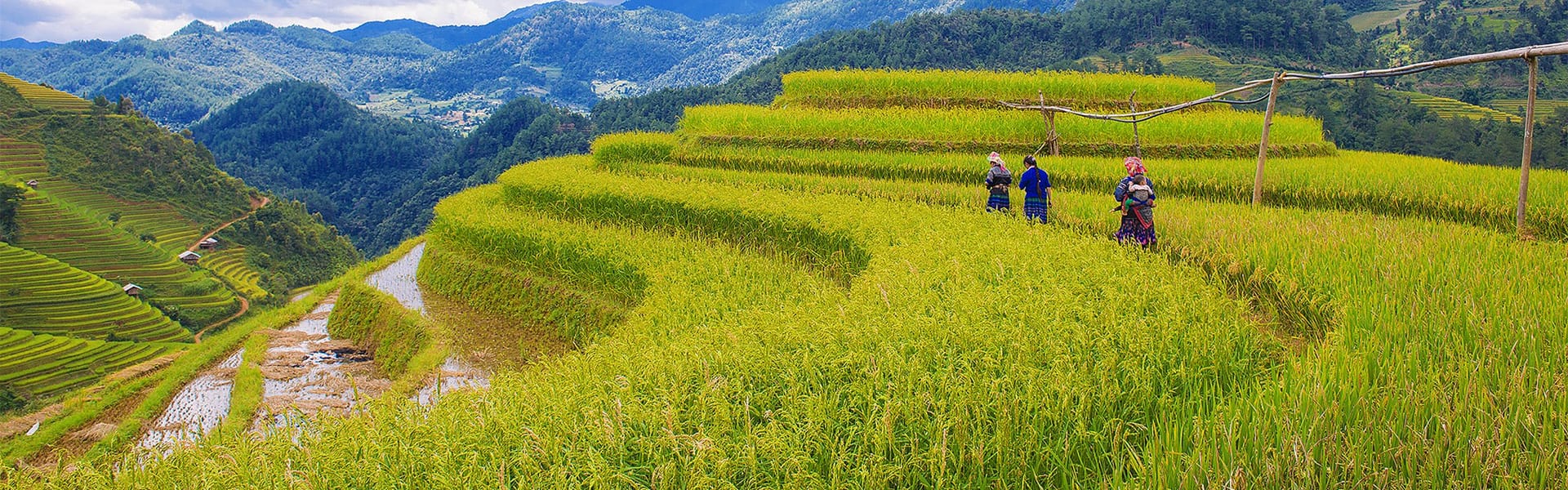sapa tours banner