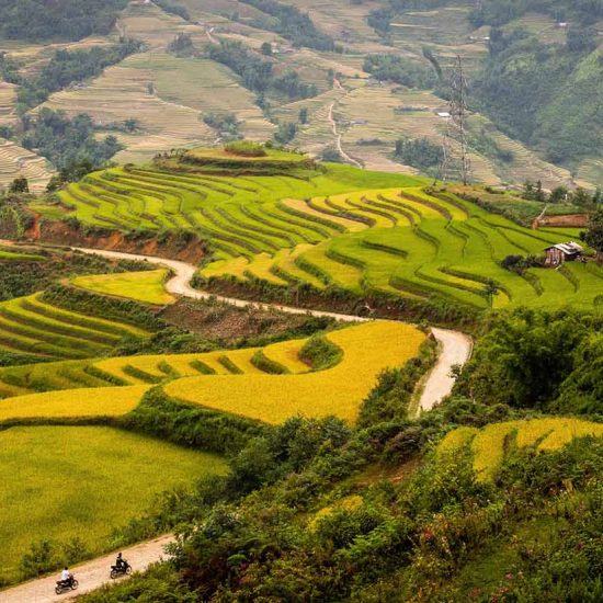 Vietnam Journey