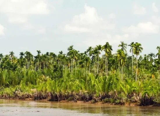 vietnam mekong delta ben tre 2 600x398 1 2